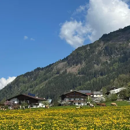 Silvia Apartamento Stumm